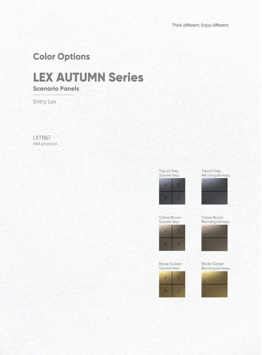 LEX AUTUMN Scenario Panel — Entry Lux view 4