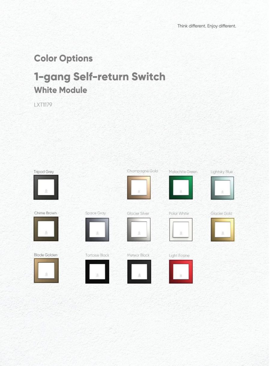 1-Gang Self-Return Switch view 4