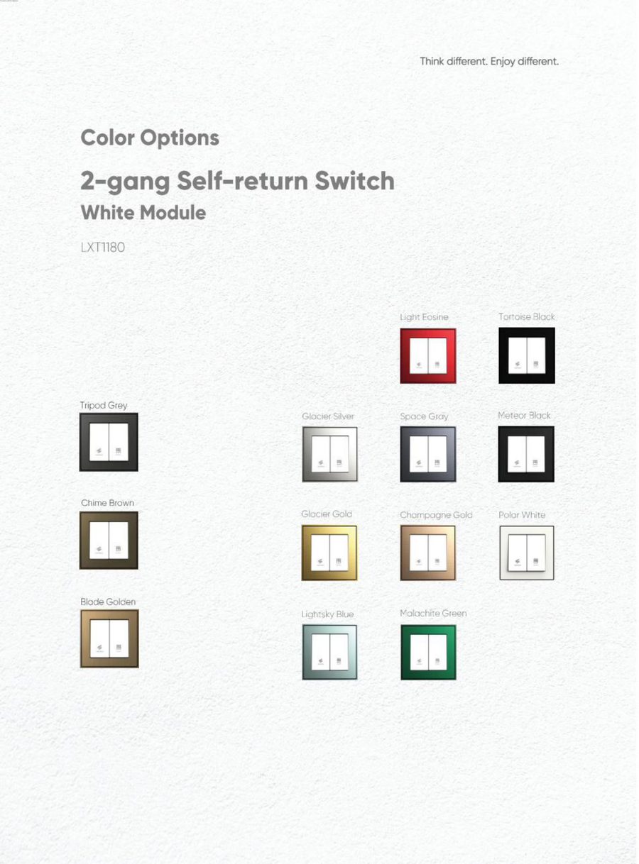 2-Gang Self-Return Switch view 4