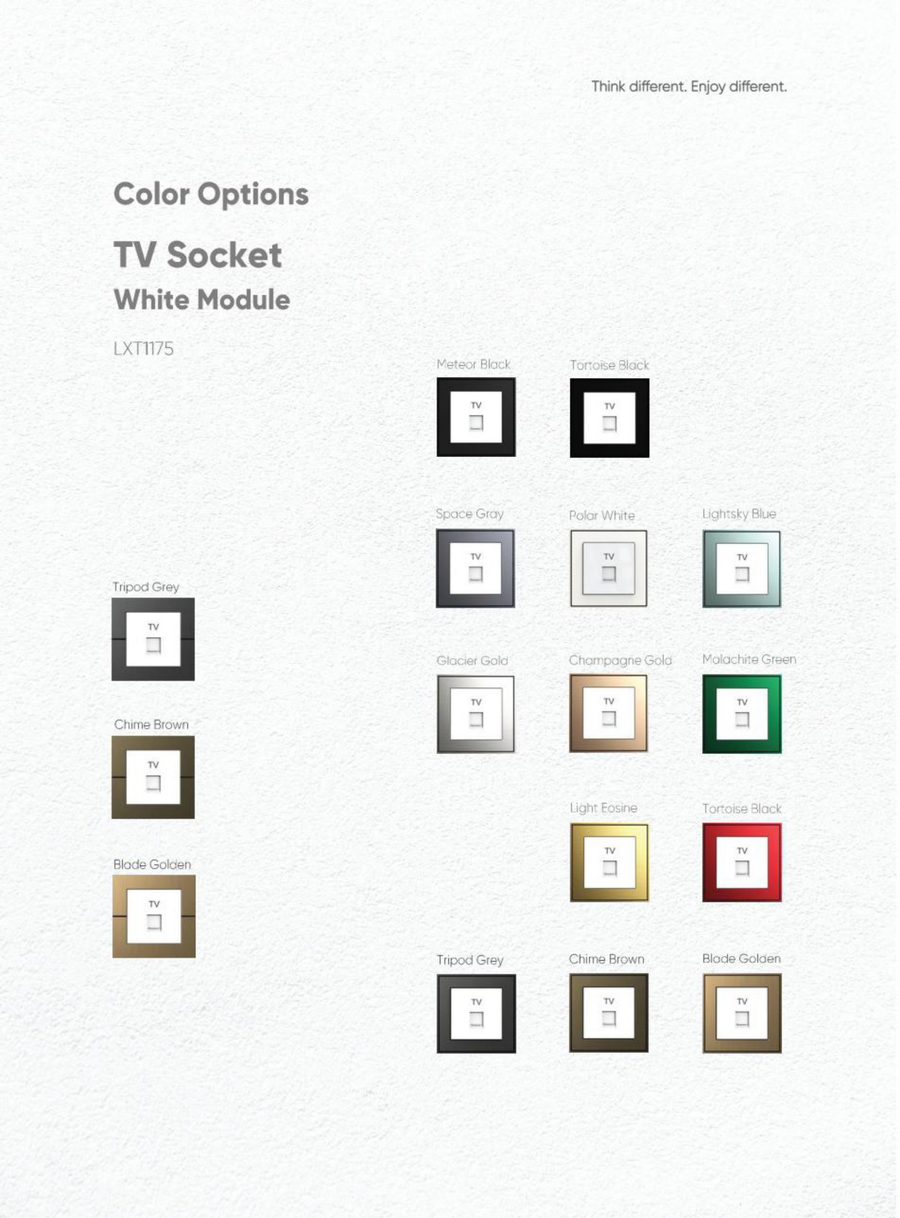 TV Socket view 5