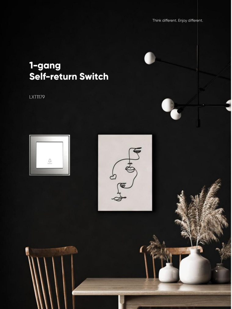 1-Gang Self-Return Switch view 2